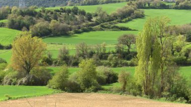 Canlı yeşil ekili tarlaları ve tarım arazileri olan lavların manzaralı kırsal kesimi. Bask ülkesinde kırsal yaşamı ve çiftçiliği temsil eden barışçıl tarım manzarası.