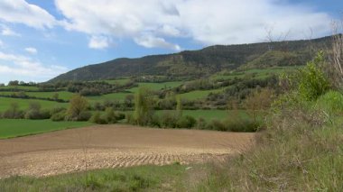 Canlı yeşil ekili tarlaları ve tarım arazileri olan lavların manzaralı kırsal kesimi. Bask ülkesinde kırsal yaşamı ve çiftçiliği temsil eden barışçıl tarım manzarası.