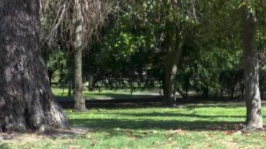 VITORIA, İspanya; 29 Mart 2019: Vitoria-Gasteiz 'deki yeşil parklar ve plazalar insanların açık alanlardan hoşlandığı yerler. Bask ülkesinin başkentinde kentsel doğa ve sürdürülebilir şehir planlaması.