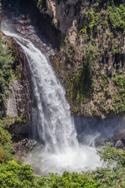 Xico, Veracruz 'un yaklaşık 3 km güneyinde yer alan Texolo Şelalesi, Montan bulut ormanı ve kahve tarlalarının arasında 18 ila 24 metre arasında bir ana düşüş gösteriyor..