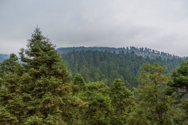 Izta-Popo Ulusal Parkı, Meksika.