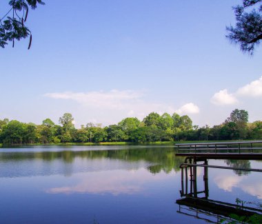 Sakin bir göl, ahşap iskele ve büyük tropikal ağaçların bulunduğu yemyeşil bir halk parkının manzarası. Konsept rahatlama, çevre koruma ve kentsel doğa içerir. Otantik gerçek fotoğrafçılık.