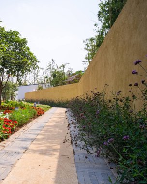 Sarmal sarı bir duvar ve çiçek açan mor çiçeklerle çevrili dolambaçlı bir bahçe yolunun dikey görüntüsü. Görüntü sıcaklığı, doğayı ve huzurlu bahçe tasarımını yansıtıyor. Yüksek kaliteli gerçek fotoğrafçılık..