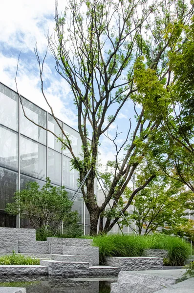 Modern bir avluda, cam bina cephesinin yanında büyüyen büyük bir ağaç. Kalıplı taş bloklar ve su elementleri doğanın ve çağdaş mimarinin uyumlu bir karışımını oluşturur..