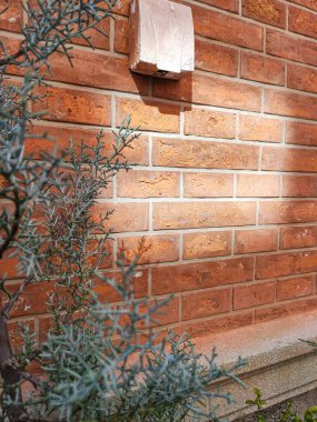 Önünde yeşil bir bitki çalısı olan kırmızı tuğladan duvar dokusunu kapatın ve güneş ışığı gölgeleri oluştursun..