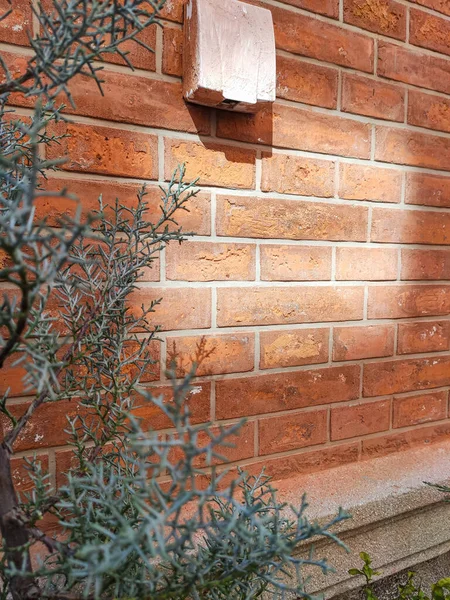 Önünde yeşil bir bitki çalısı olan kırmızı tuğladan duvar dokusunu kapatın ve güneş ışığı gölgeleri oluştursun..