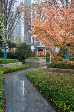 Islak, dolambaçlı bir yol dikey manzarası konut bahçesinde yağmurdan sonra, yeşil çalılar ve turuncu yapraklı sonbahar ağaçları tarafından kuşatılmış.
