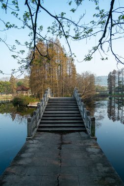 Mavi gökyüzünün altında sonbahar selvi ağaçları ile çevrili sakin bir gölü geçen geleneksel taş köprünün dikey manzara fotoğrafı..