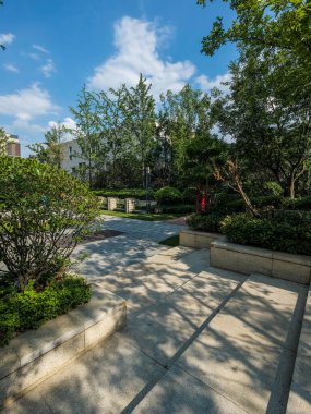 Yerleşim yerinin bahçesindeki bir taş yolun dikey görüntüsü. Yerdeki ağaçların oluşturduğu güzel ışık desenleri ve gölgeler..