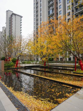Sonbahar sarısı yaprakları, sakin bir avluda modern bir yerleşim alanının manzara havuzuna düşüyor. Görüntü huzur ve modern yaşam tarzını yansıtıyor. Doğal ışıklandırmalı yüksek kaliteli gerçek fotoğrafçılık.