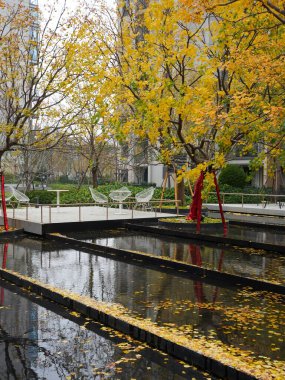 Tahta izleme güvertesi ve sakin bir mesken ortamında düşen yapraklarla kaplı bir havuz. Görüntü, rahatlama ve çevresel uyumu iletiyor. Doğal ışıklandırmalı yüksek kaliteli gerçek fotoğrafçılık.