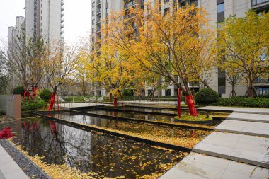 Geniş bir manzara havuzu ve sakin bir avluda düşen sonbahar sarısı yaprakları. İmaj, huzur ve modern yaşamı temsil ediyor. Doğal ışıklandırmalı yüksek kaliteli gerçek fotoğrafçılık.
