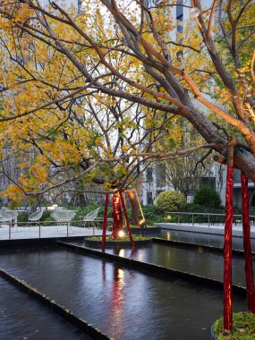 Günbatımında modern bir halk avlusunda serin bir havuzun üzerinde sarı yapraklı sonbahar ağacı dallarının yakın görüntüsü. Görüntü huzurlu bir akşam ve mevsimsel bir güzelliği yansıtıyor. Doğal ışıklandırmalı yüksek kaliteli gerçek fotoğrafçılık.