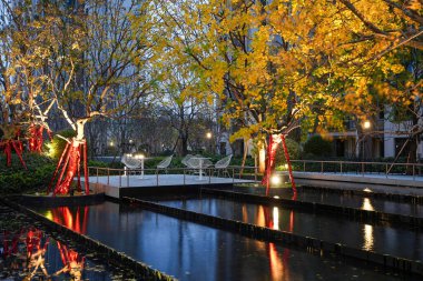 Ilık bir sonbahar ağacı ve özel bir toplulukta mavi alacakaranlık gökyüzü ile çelişen karanlık bir yansıtma havuzu. Görüntü zarif bir ortam ve huzurlu bir akşam sunuyor. Doğal ışıklandırmalı yüksek kaliteli gerçek fotoğrafçılık.