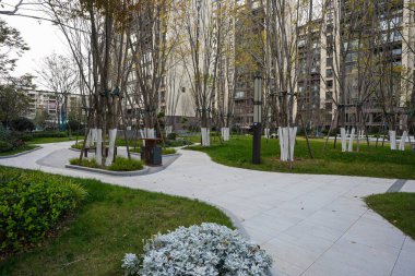 Çevredeki yeşil bir adanın çevresini saran asfalt kaldırımlar ve sakin bir halk parkında ağaçlar ve dekoratif çalılar. Görüntü, uyumlu bir ortam ve açık havada hoş bir yaşam sağlıyor. Doğal ışıklandırmalı yüksek kaliteli gerçek fotoğrafçılık.