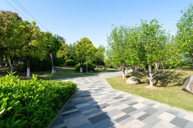 Yeşil şehir parkında kıvrılan modern geometrik taşlı manzaralı bir yürüyüş. Görüntü, rahatlık, doğa ve kentsel tasarım taşır. Yüksek kalite fotoğrafçılık.