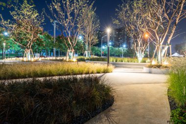 Tarif: Geceleri halka açık bir parkta, modern sokak ışıklarıyla aydınlatılmış temiz bir bahçe yolu. Resim, boş zaman, mimari ve barışçıl doğa ortamını aktarıyor. Yüksek kalite fotoğrafçılık.