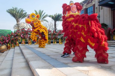Açıklama: Aslan kostümlü dansçılar açık bir alanda kültür festivali sırasında gösteri yapıyorlar. İmaj geleneği, olayı ve şenlik neşesini aktarır. Yüksek kalite fotoğrafçılık.