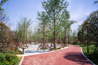 Mavi gökyüzünün altındaki bir şehir parkındaki yemyeşil, ağaçlarla dolu bir bahçede huzurlu bir yürüyüş yolu. Görüntü, doğal rahatlık ve tasarım taşır. Yüksek kalite fotoğrafçılık.