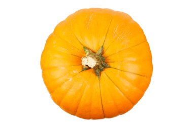 kabak üstü görünümü beyaz veya şeffaf png üzerinde izole