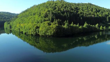 Panoramik manzara ve mavi göl üzerinde mavi gökyüzü olan yeşil bir orman adasının insansız hava aracı görüntüsünü kaldırın.