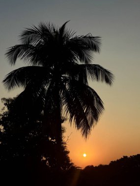 Sıcak bir günbatımı sahnesinde bir palmiye ağacı silueti turuncu ve mavi bir gökyüzüne karşı barışçıl bir tropikal manzara yaratıyor..
