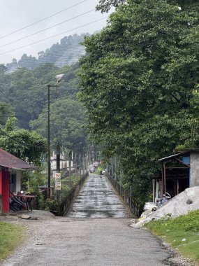 Sağanak yağmurdan sonra sakin kırsal bir yol, yoğun yeşil ağaçlar ve sisli tepelerle çevrili küçük bir köyden geçiyor. Islak yüzey sakin kırsal yaşamı ve muson atmosferini yansıtır..