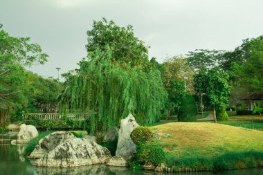 Sakin bir gölet, doğal kayalar ve yumuşak gün ışığında yemyeşil çimlerin yanında zarif bir söğüt ağacı olan sakin bir park manzarası huzur verici ve ferahlatıcı bir açık hava manzarası yaratır..