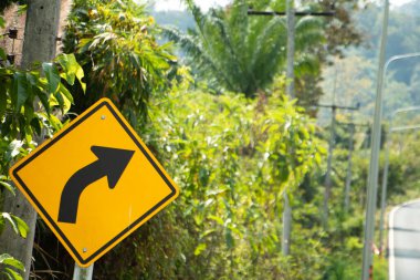Yeşil tropikal bitki örtüsüyle çevrili kırsal bir dağ yolunun yanında sarı sağ kavis uyarı işareti.