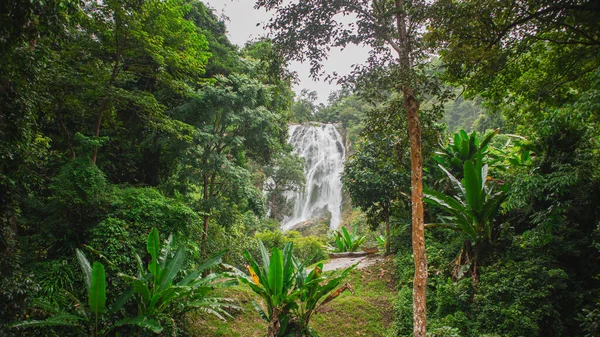 Görkemli tropikal şelale yemyeşil yağmur ormanlarında akıyor. Zengin yeşillik ve huzurlu atmosferi olan doğal manzara, seyahat ve doğa temaları için ideal..