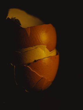 Kırık yumurta kabuğunun yakın plan görüntüsü hassas dokuyu ve organik deseni ortaya çıkarıyor..