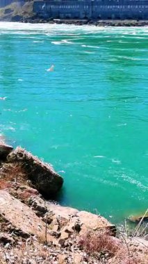 Niagara Şelaleleri, güneşli bir baharda, yakınlarda kayalar ve ağaçlarla açık mavi sularda akıyor.