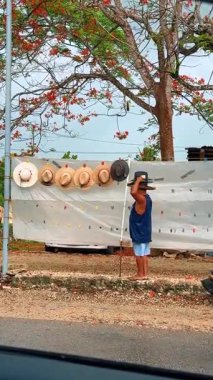 Tulum, Meksika, 1 Ağustos 2025: Adam güneşli bir günde Meksika 'da bir ağacın altında şapkalarla çalışıyor. Bir adam gün içinde Meksika 'da bir ağacın yanında şapka asıyor..
