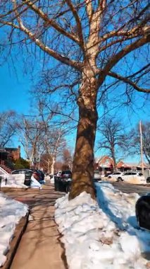 New York, ABD, 9 Ocak 2025: Brooklyn 'de kar yığınları olan kirli kaldırım. Brooklyn kaldırımı, güneşli kış gününde eriyen karlar ve çıplak ağaçlarla tıkandı..