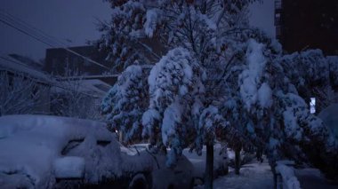 Karla kaplı ağaçlar ve park edilmiş arabalarla dolu bir yerleşim yeri. Gece vakti New York 'ta bir mahallede yoğun kar birikintileri ve araçlar görülüyor..