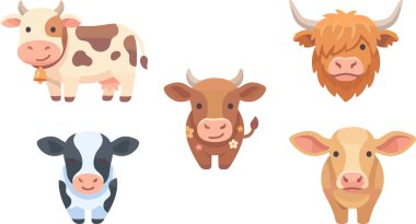 İnekler ve boğaların kafaları.