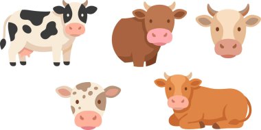 İnekler farklı pozlarda.