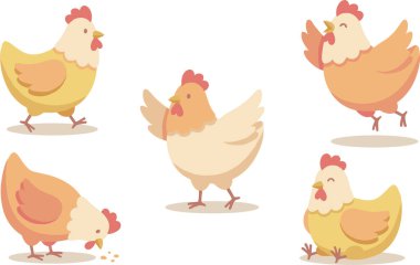 Çizgi film tavukları..