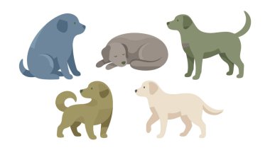 farklı cins köpekler.