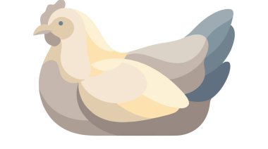 Bir güvercin tasviri.