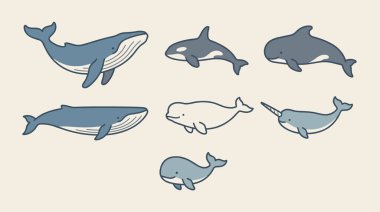 Sevimli deniz hayvanları kümesi