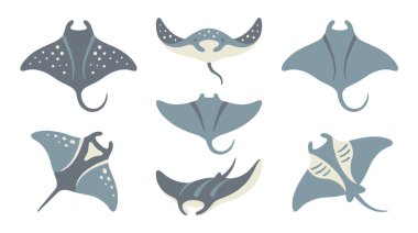 Çeşitli deniz canlılarının siyah siluetlerinin vektör çizimi