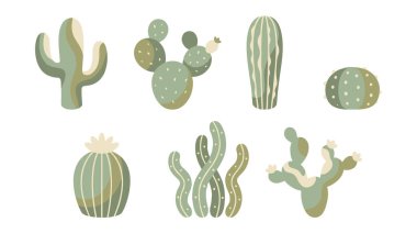 Farklı şekillerde kaktüs seti.