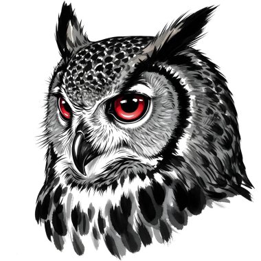 Çarpıcı Kırmızı Gözleriyle Güçlü Baykuş Kafa Resimleri