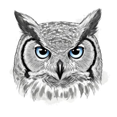 Çarpıcı Mavi Gözlü Görkemli Baykuş Kafası Portresi