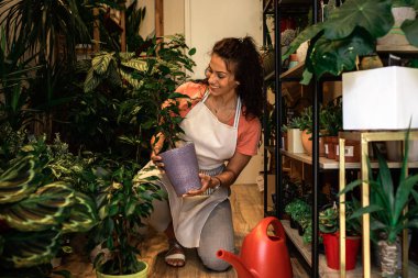 Çiçekçisinde çalışan genç bayan çiçekçi. Çiçek düzenliyor..