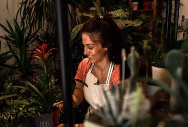 Çiçekçisinde çalışan genç bayan çiçekçi. Çiçek düzenliyor..