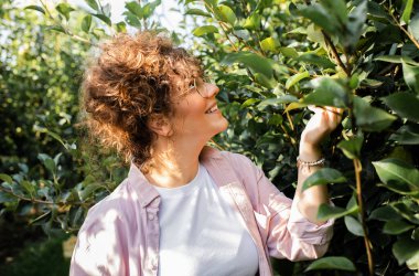Genç kadın çiftçi meyve bahçesindeki armutların kalitesini inceliyor..