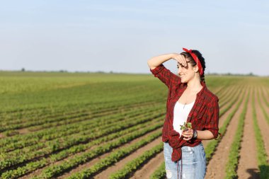 Soya fasulyesi tarlasında durup mahsulü inceleyen gülümseyen dişi çiftçi. Elinde genç bir bitki tutuyor..