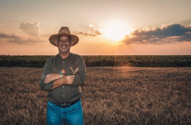 Gün batımında buğday tarlasında duran şapkalı yaşlı çiftçinin portresi..